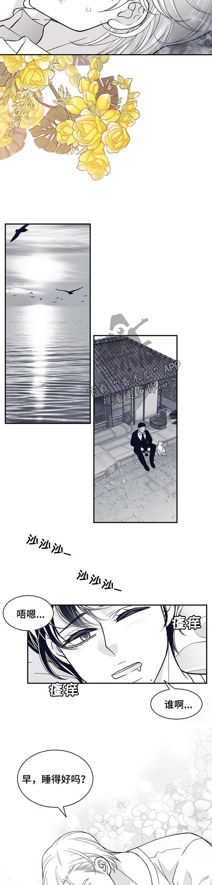 第157章：没有勇气