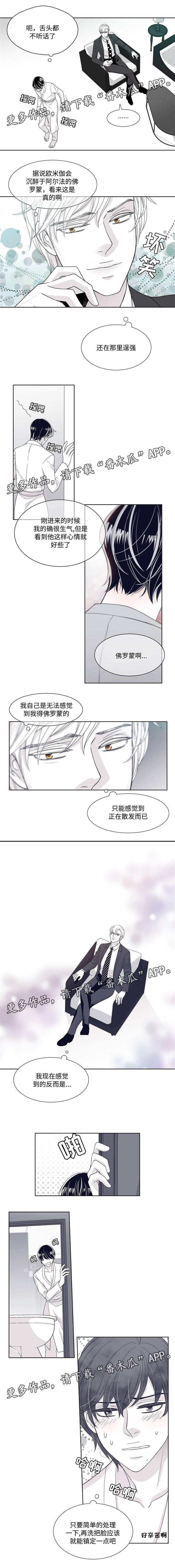 第16章：沉醉