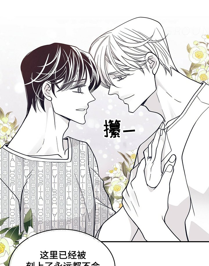 第192章：【第二季】憧憬未来