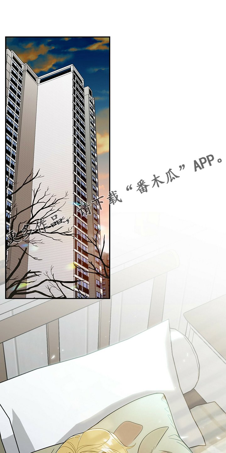 第207章：【番外】支持工作