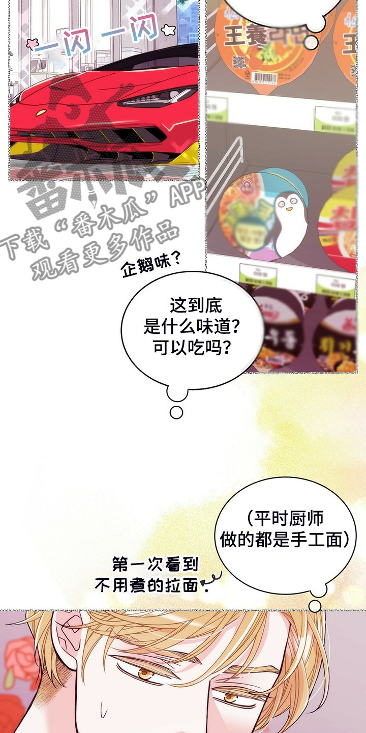 第207章：【番外】支持工作