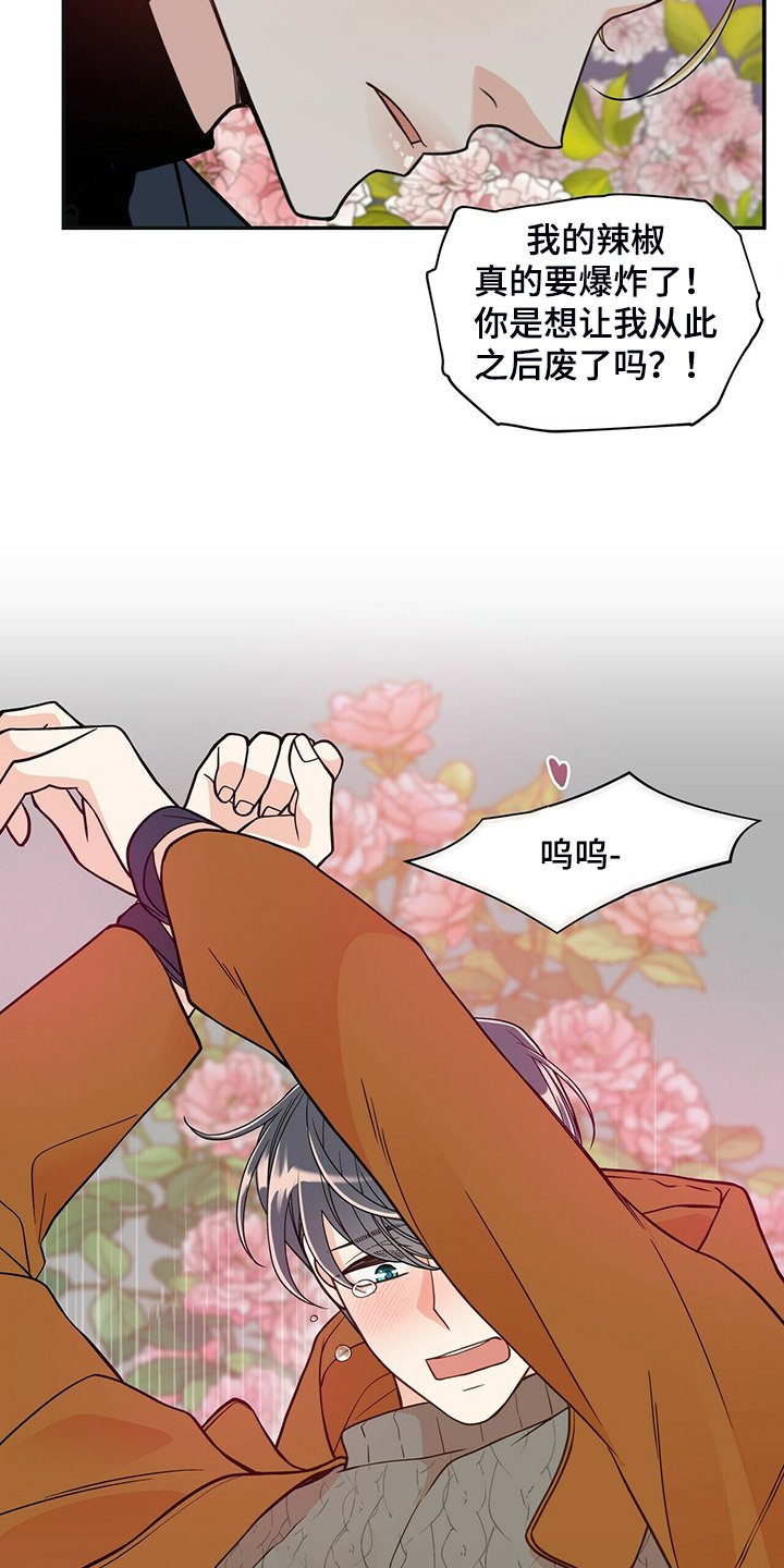 第212章：【番外】因为嫉妒