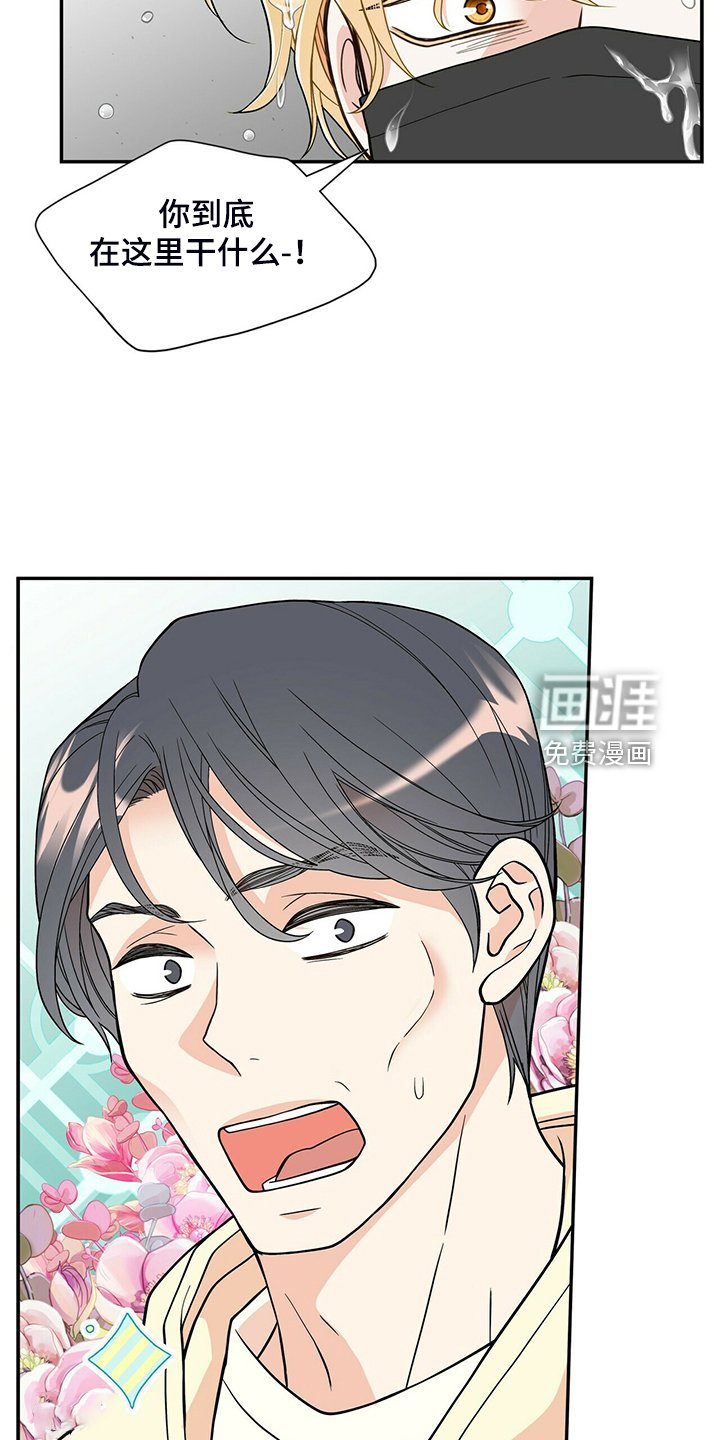 第216章：【番外】认错人