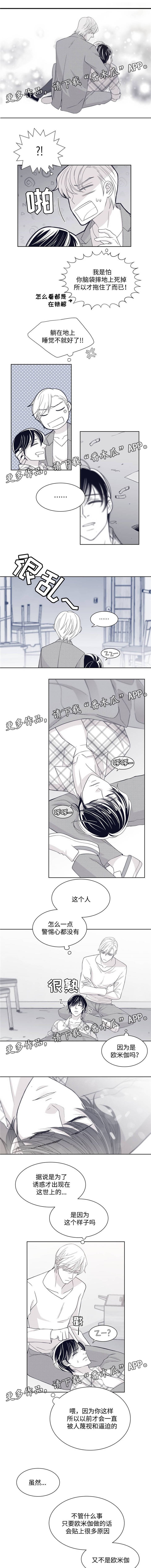 第22章：生态缸的欧米伽