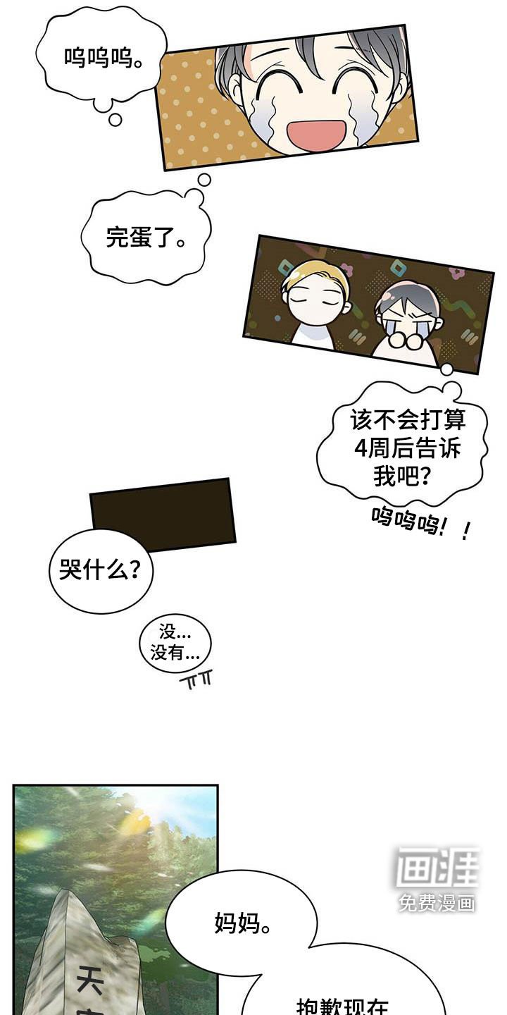 第222章：【番外】祝你幸福