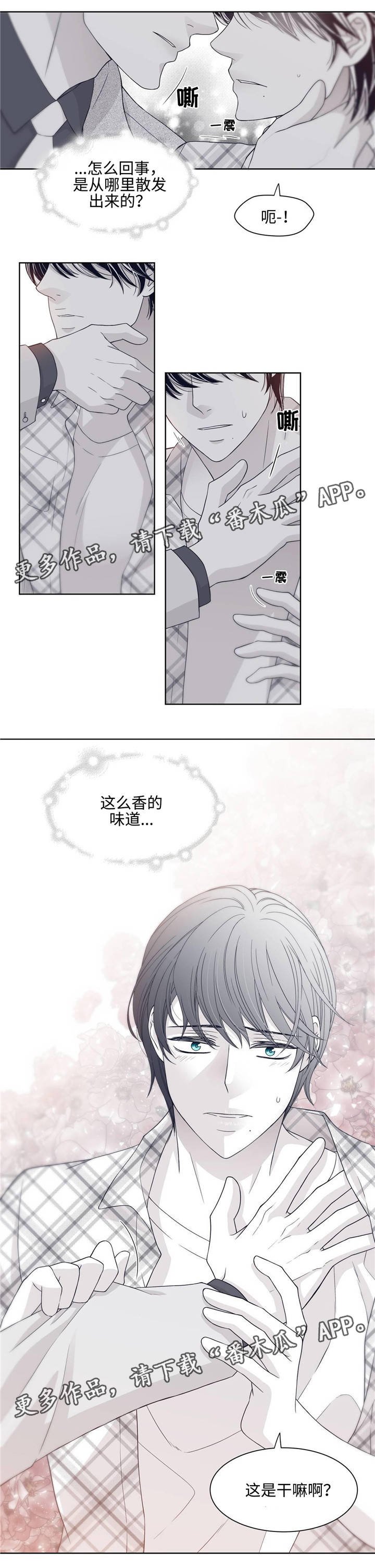 第26章：亲吻