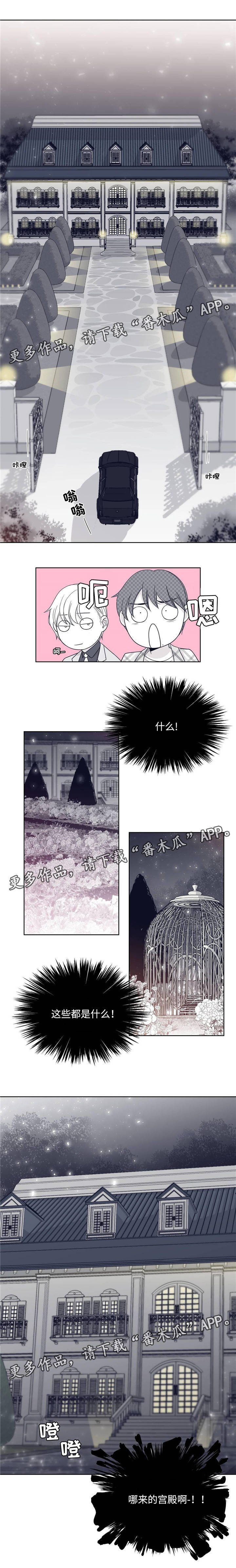 第27章：豪华别墅