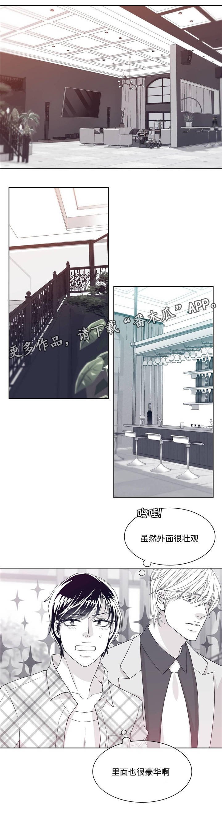 第27章：豪华别墅