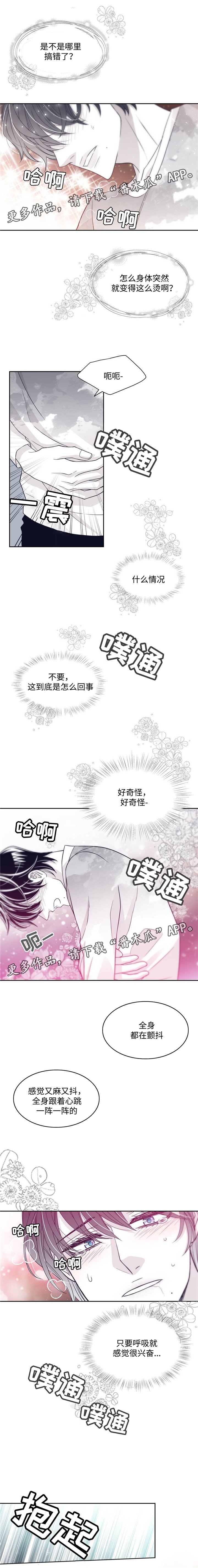 第40章：生理期