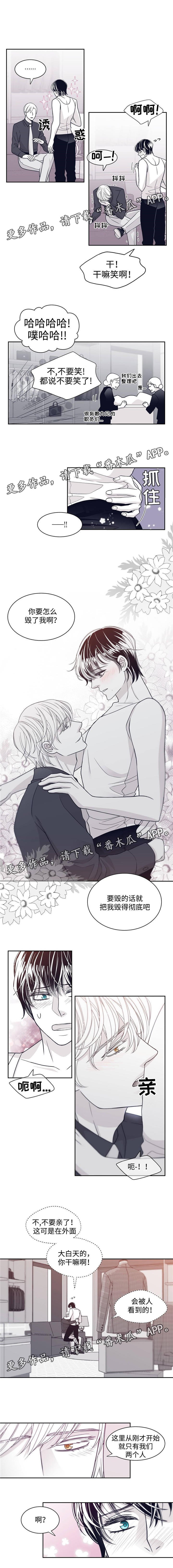 第53章：避孕药