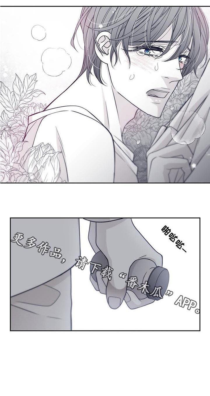 第65章：又来了