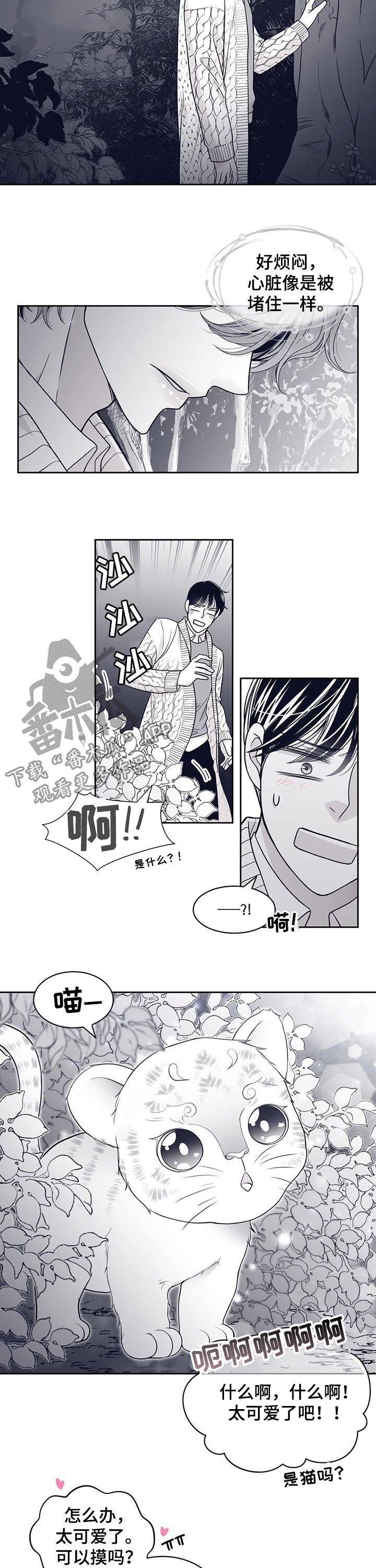 第80章：怀孕？