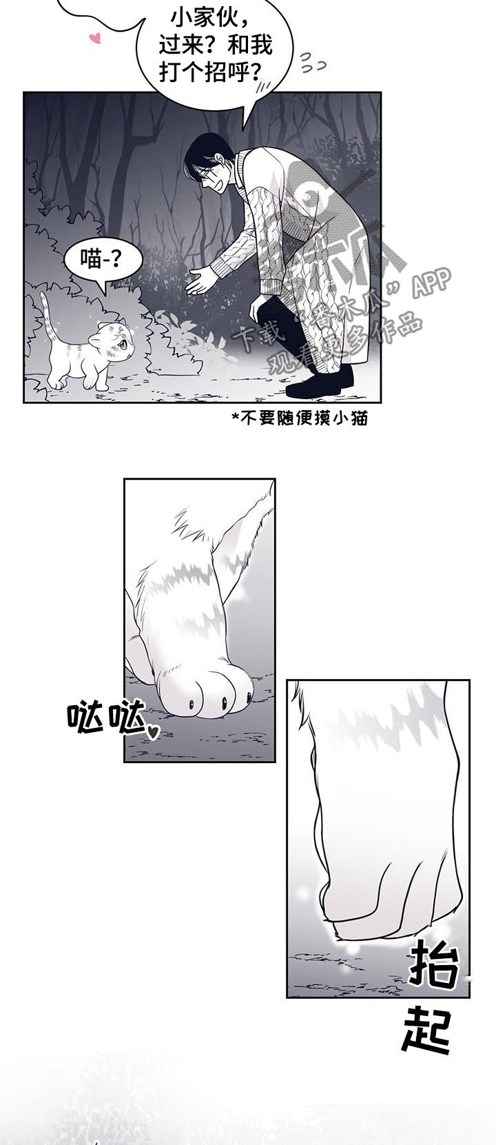 第80章：怀孕？