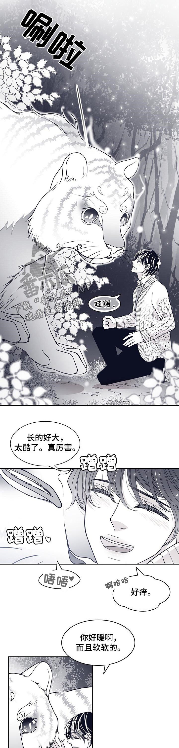 第80章：怀孕？