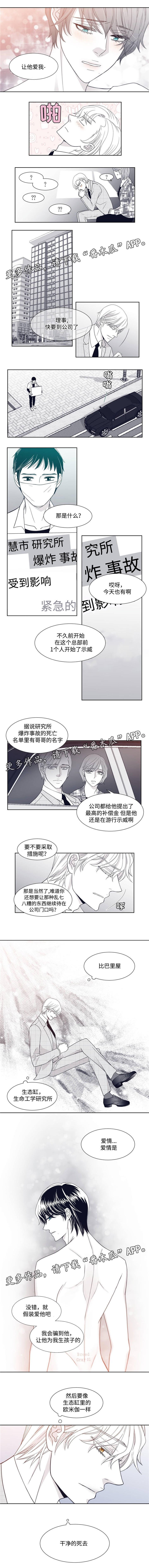 第9章：虚假的爱情
