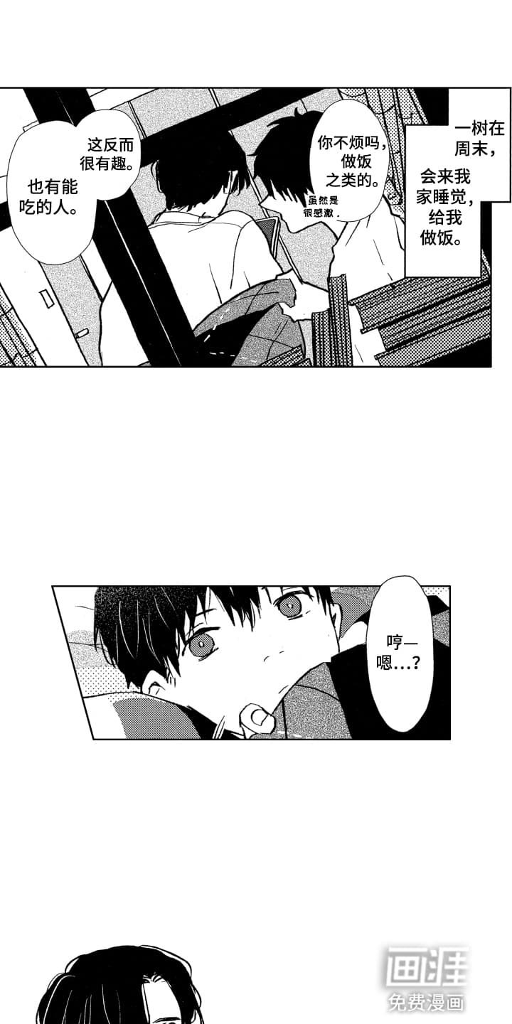 第11章：嫉妒
