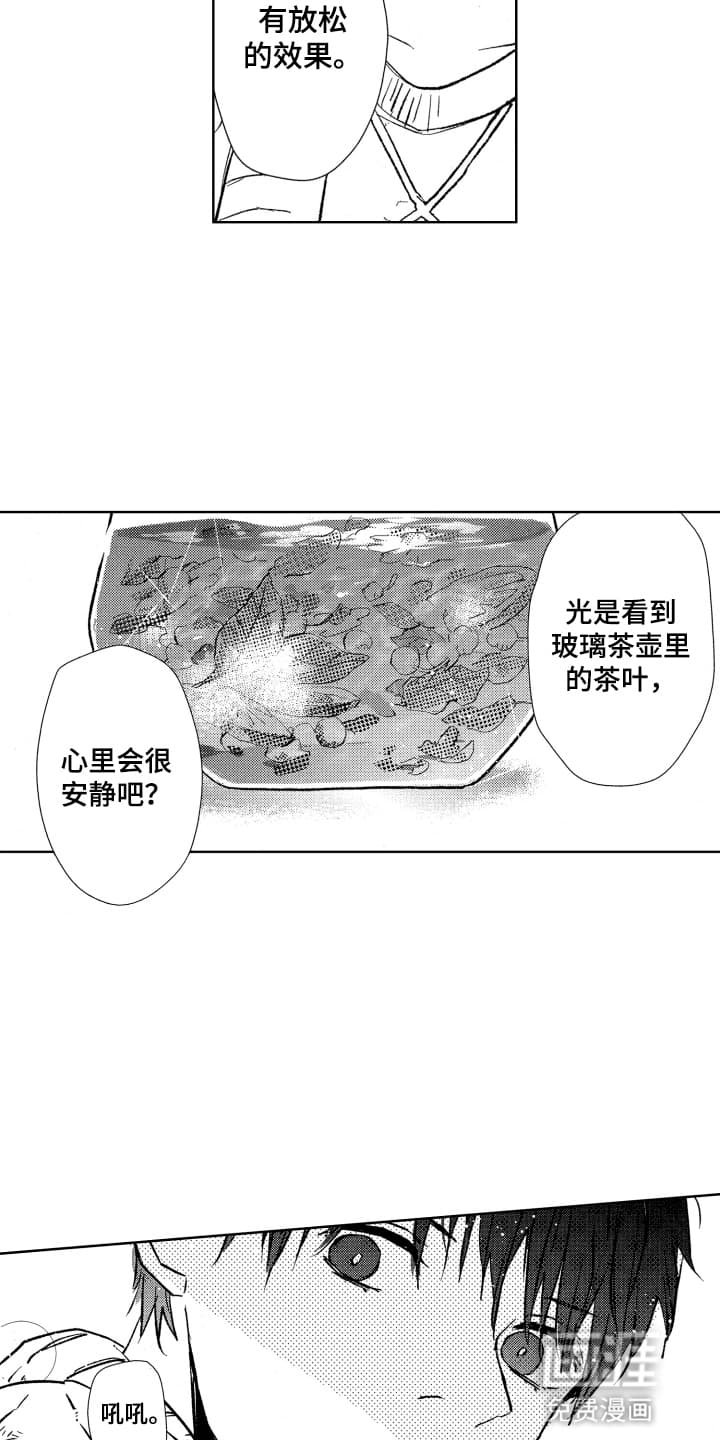 第9章：香草茶