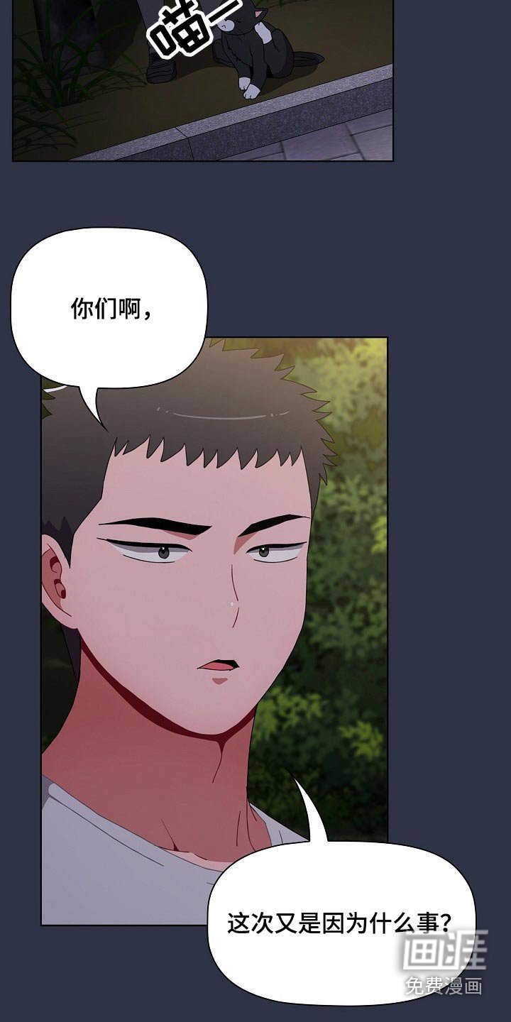 第62章：我都要