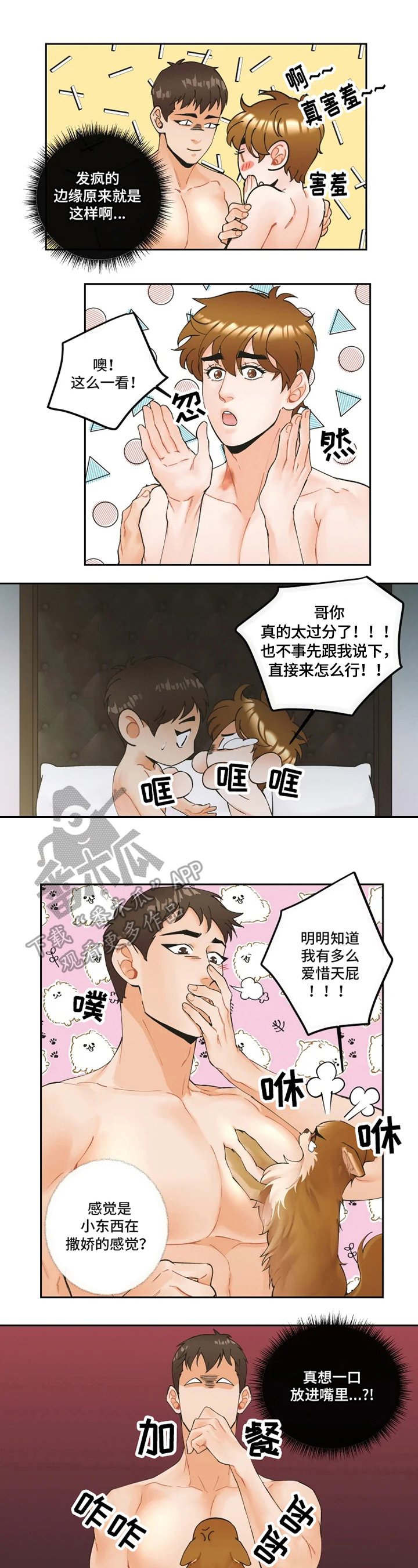 第15章：再教导