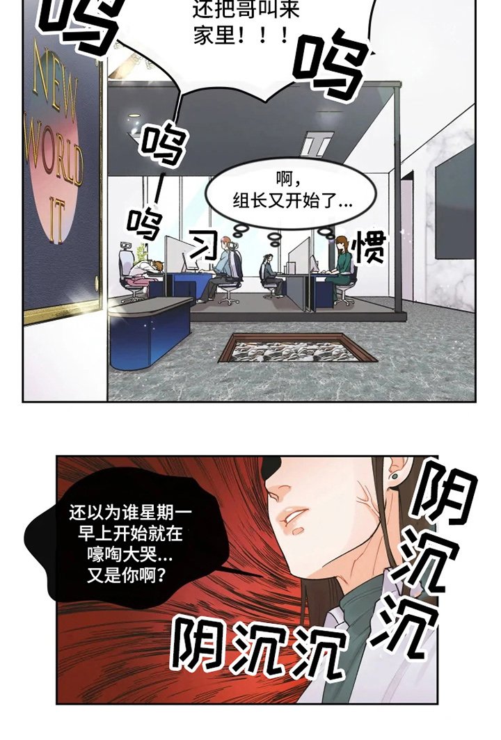 第6章：照片