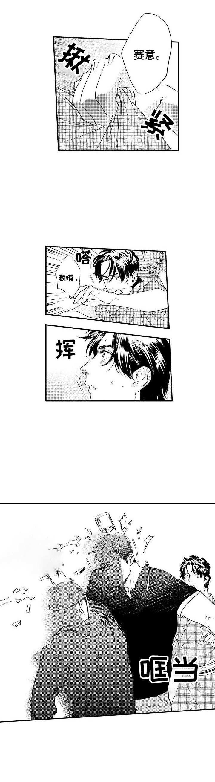 第17章：保护