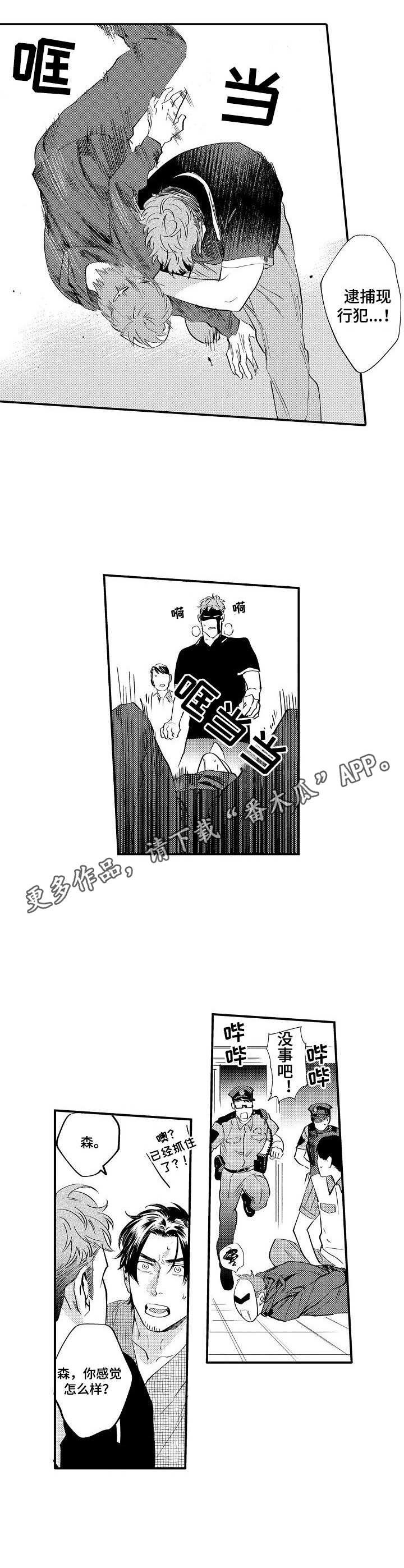第17章：保护