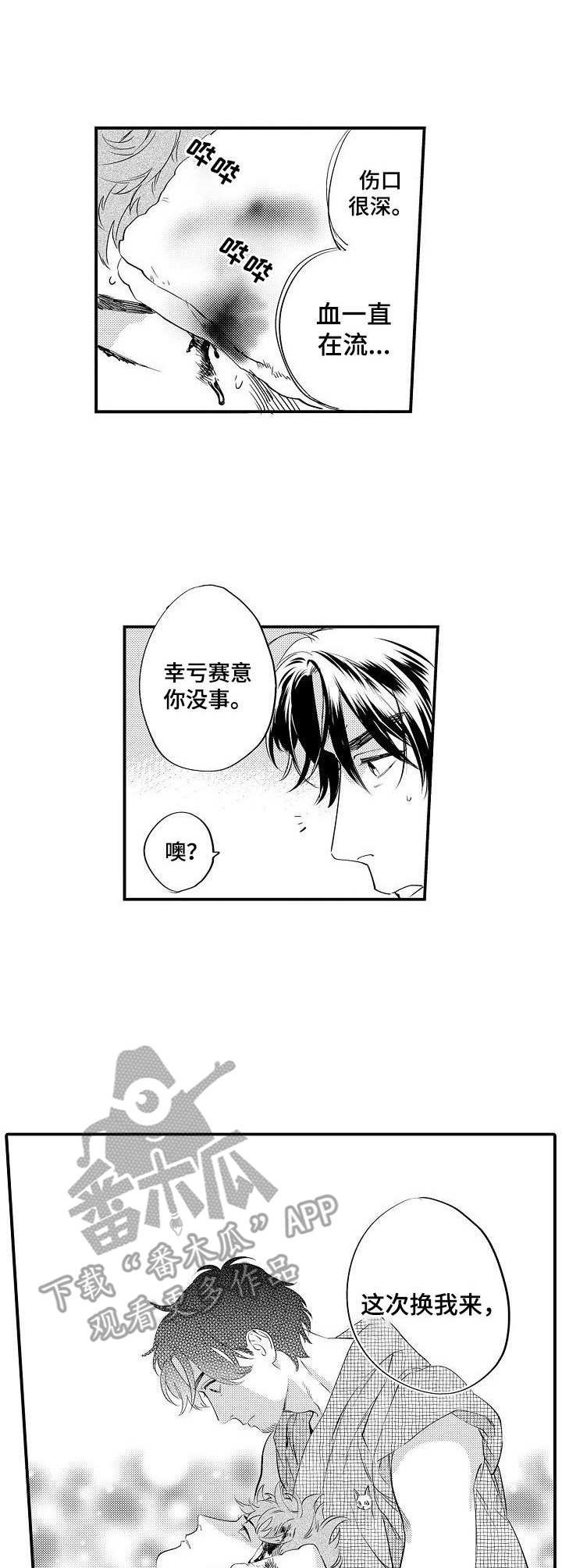 第17章：保护