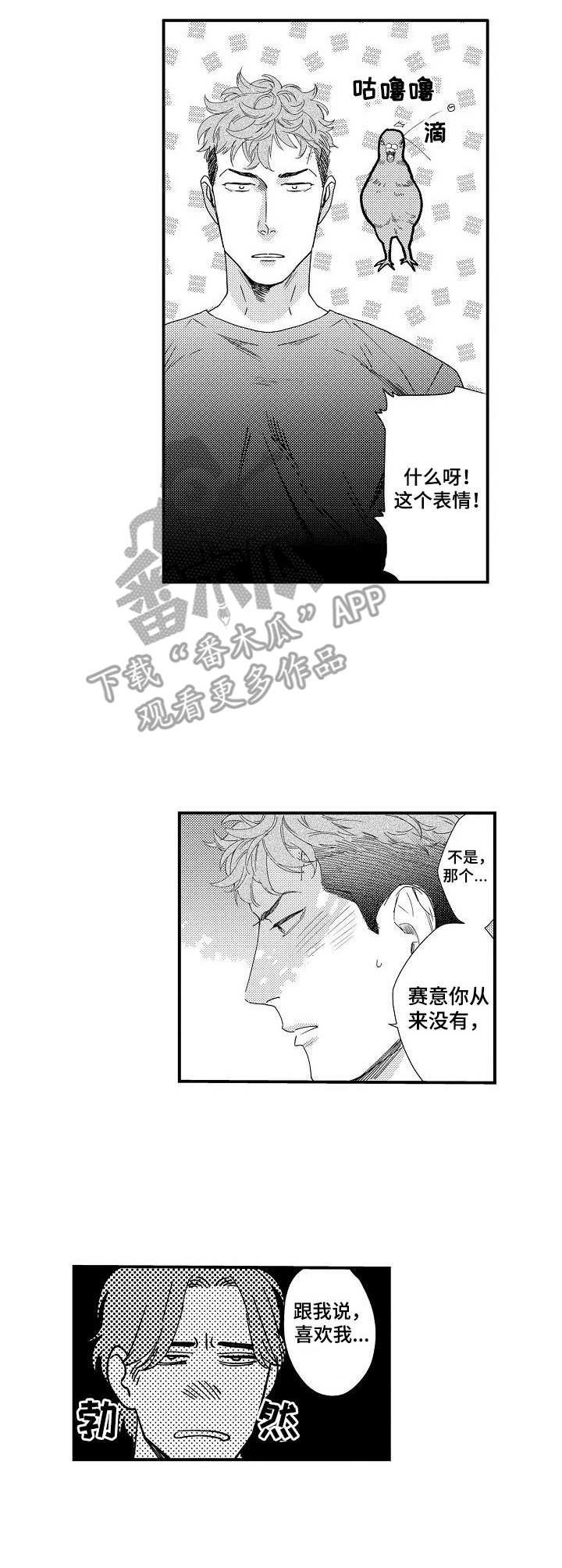 第19章：勋章