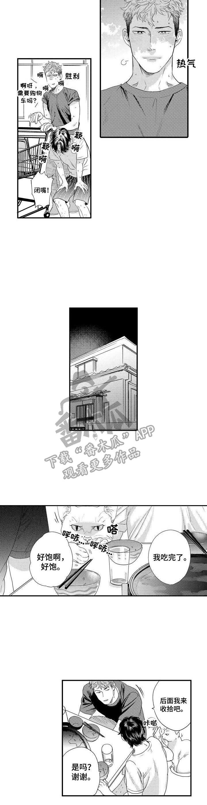 第19章：勋章