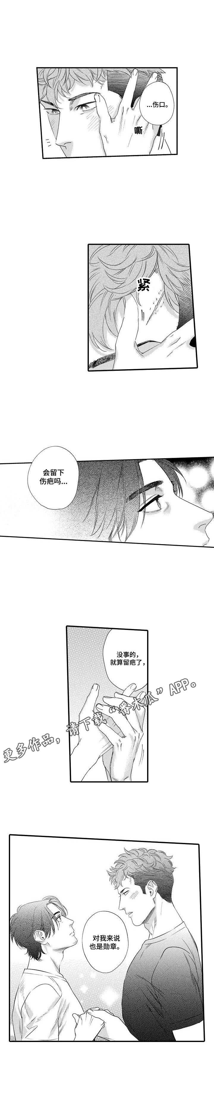 第19章：勋章