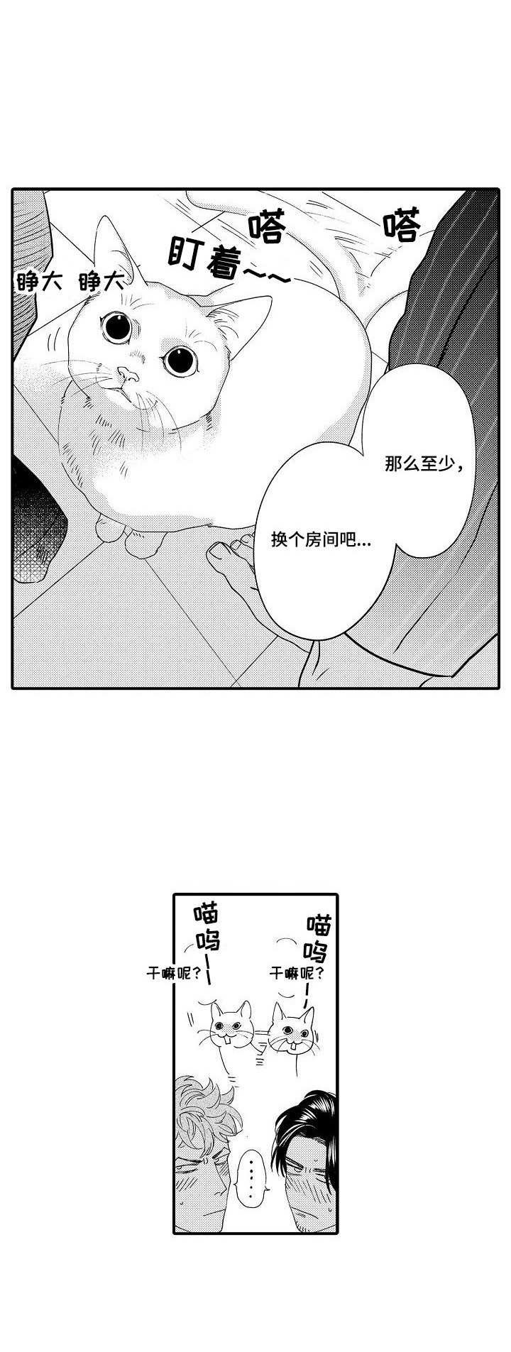第20章：认真的