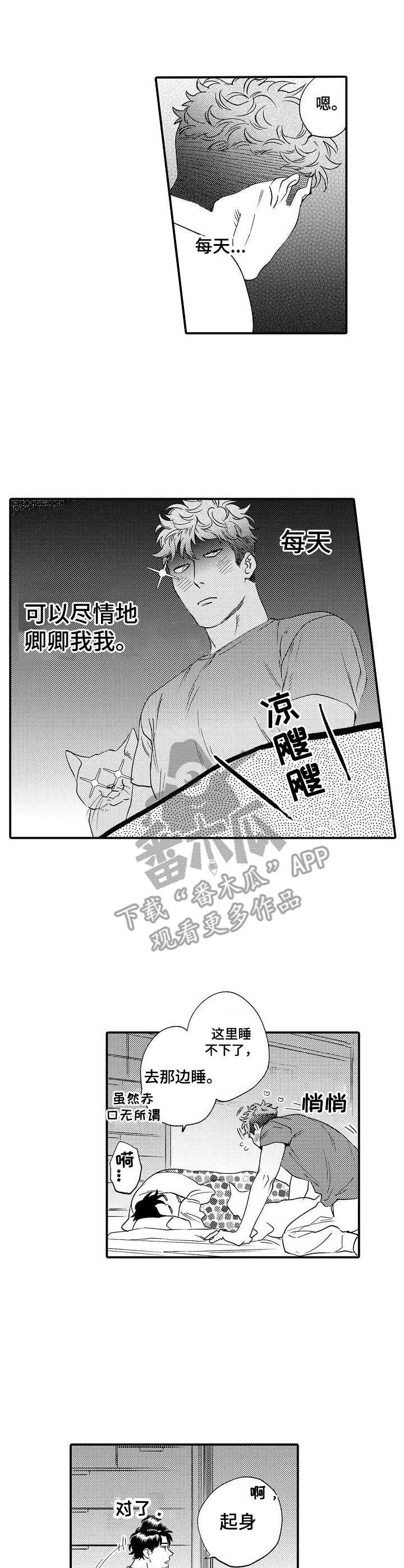 第25章：禁止期