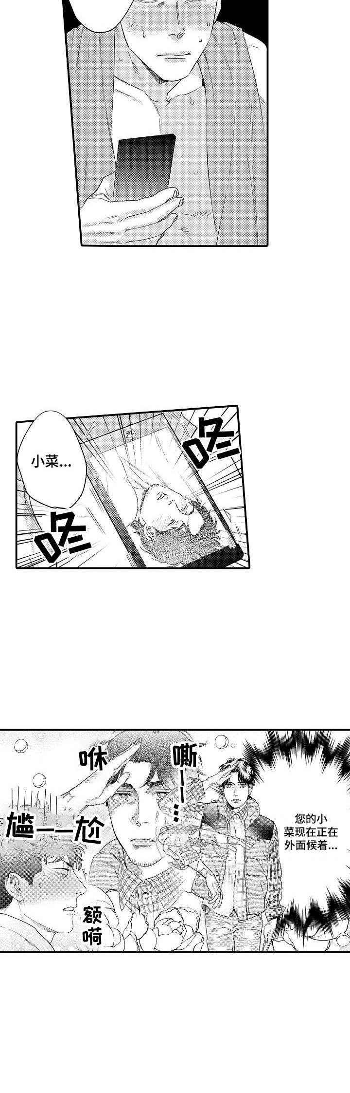第27章：缓解