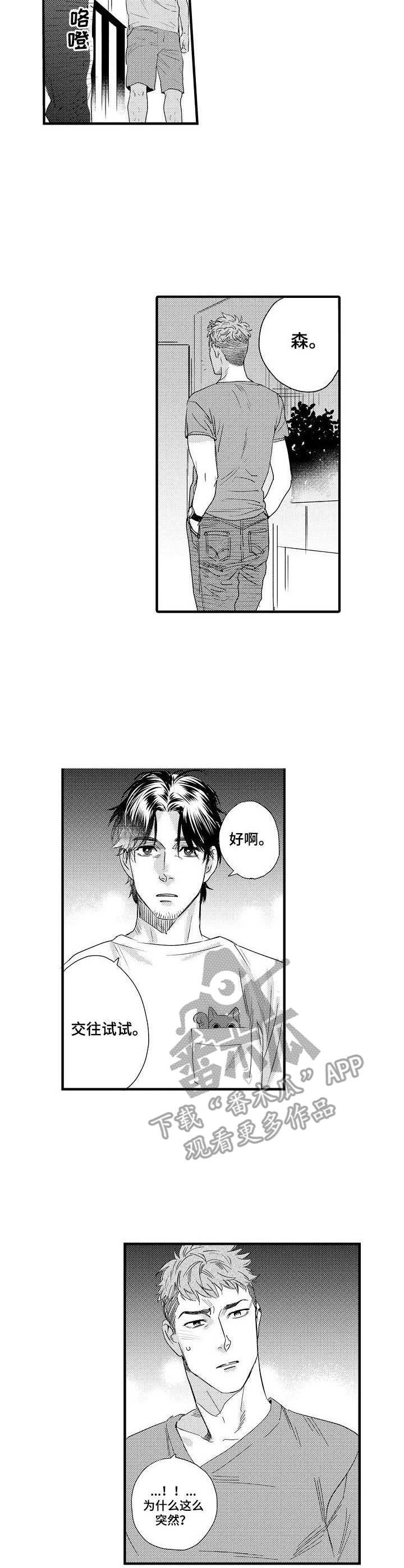 第8章：试试看
