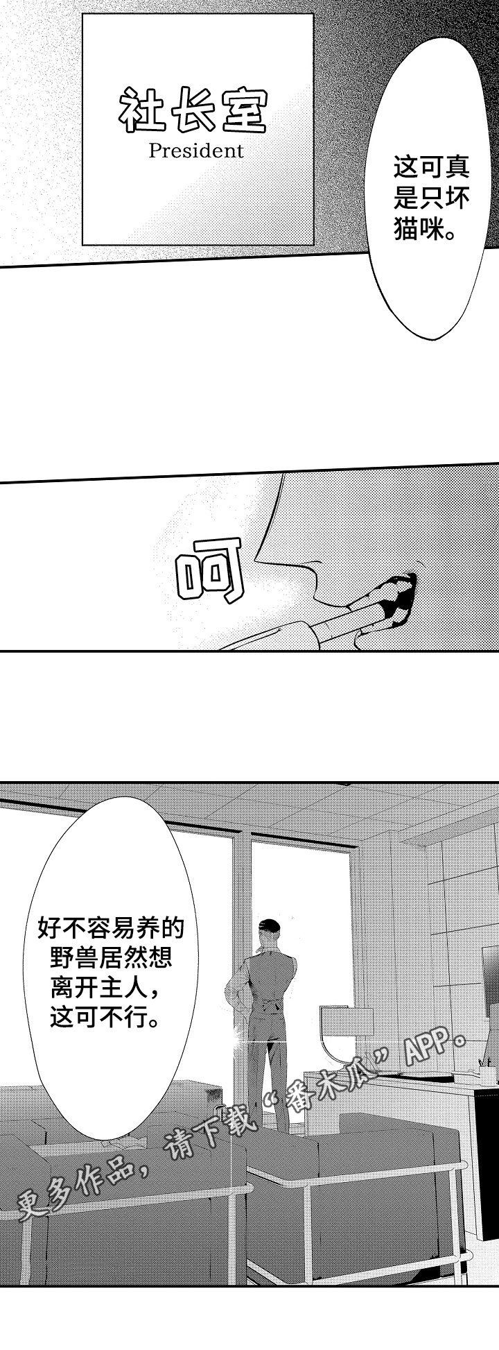 第5章：后果