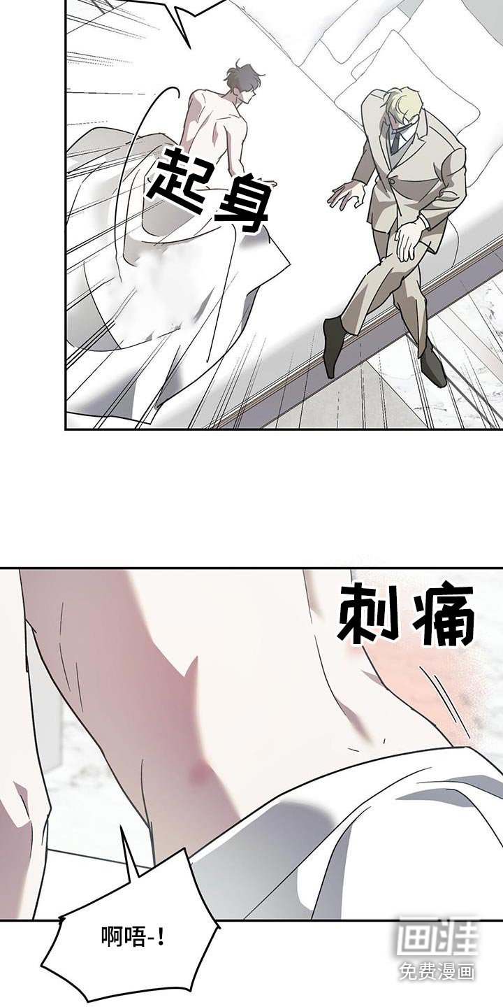 第107章：【第二季】重要日子