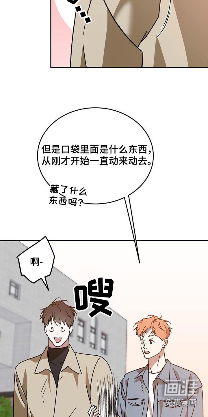 第119章：【番外】有名的王子