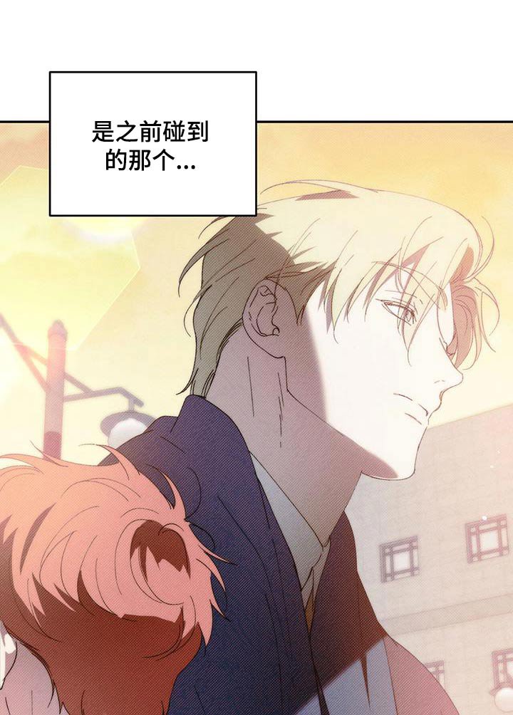第119章：【番外】有名的王子
