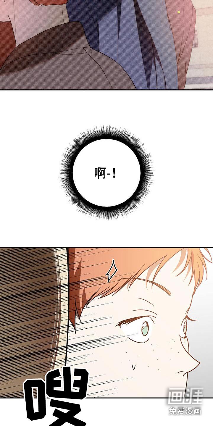 第119章：【番外】有名的王子