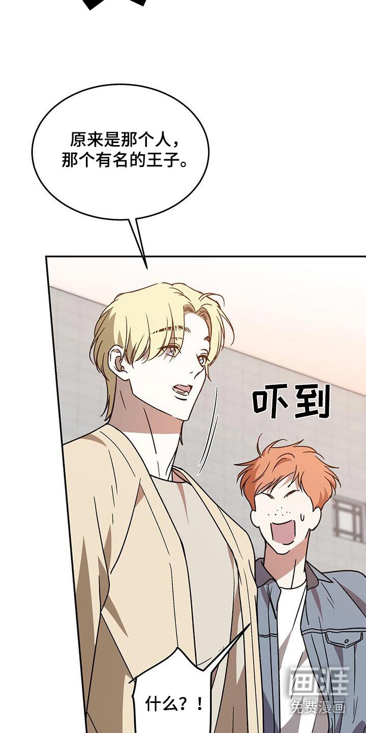 第119章：【番外】有名的王子