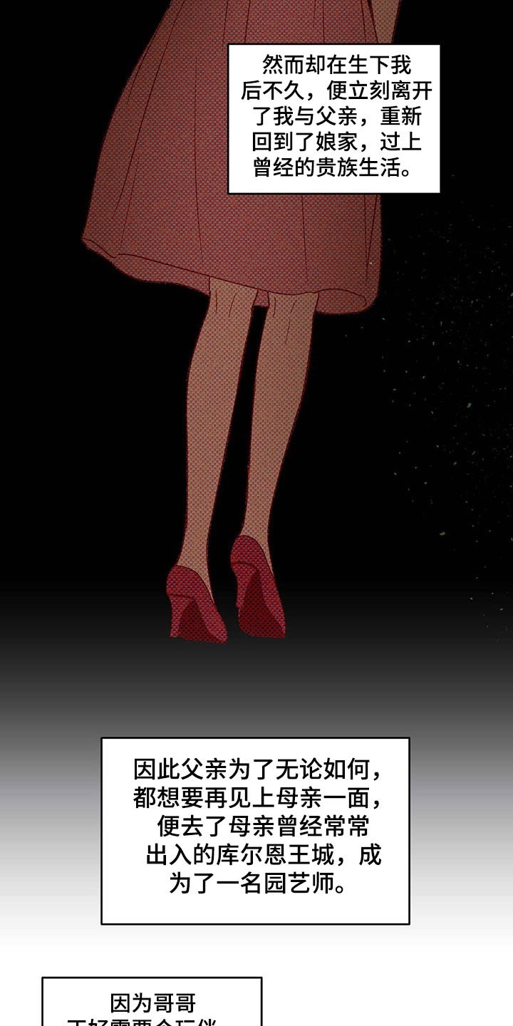 第33章：父亲与母亲