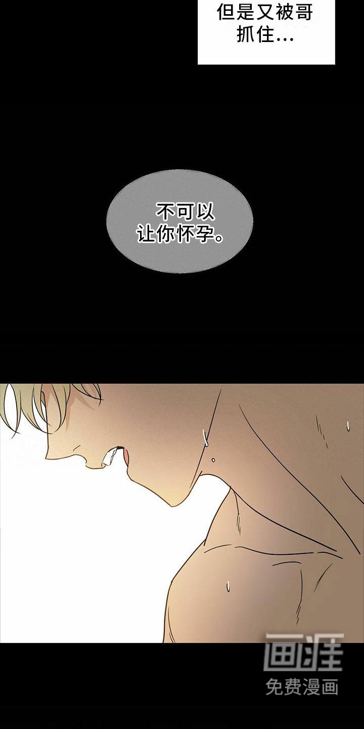 第46章：【第二季】不可以