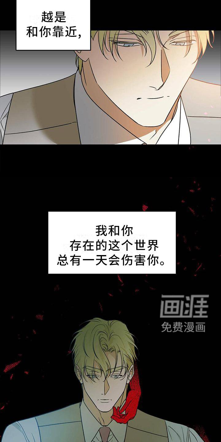 第48章：【第二季】伤害