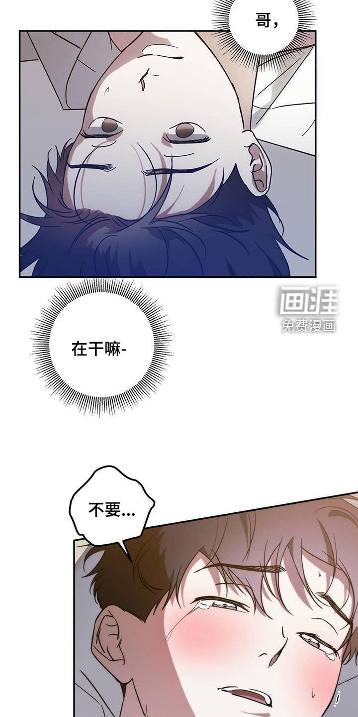 第84章：【第二季】成结