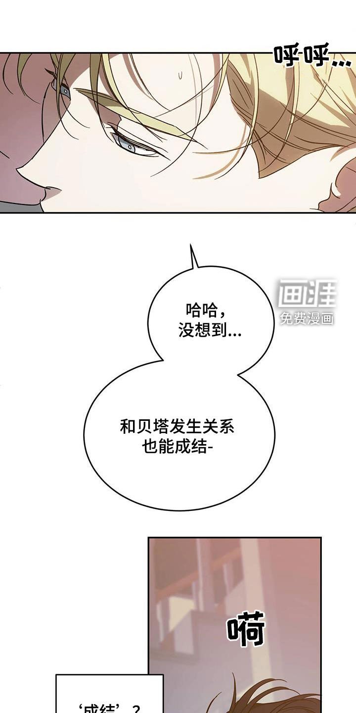 第84章：【第二季】成结