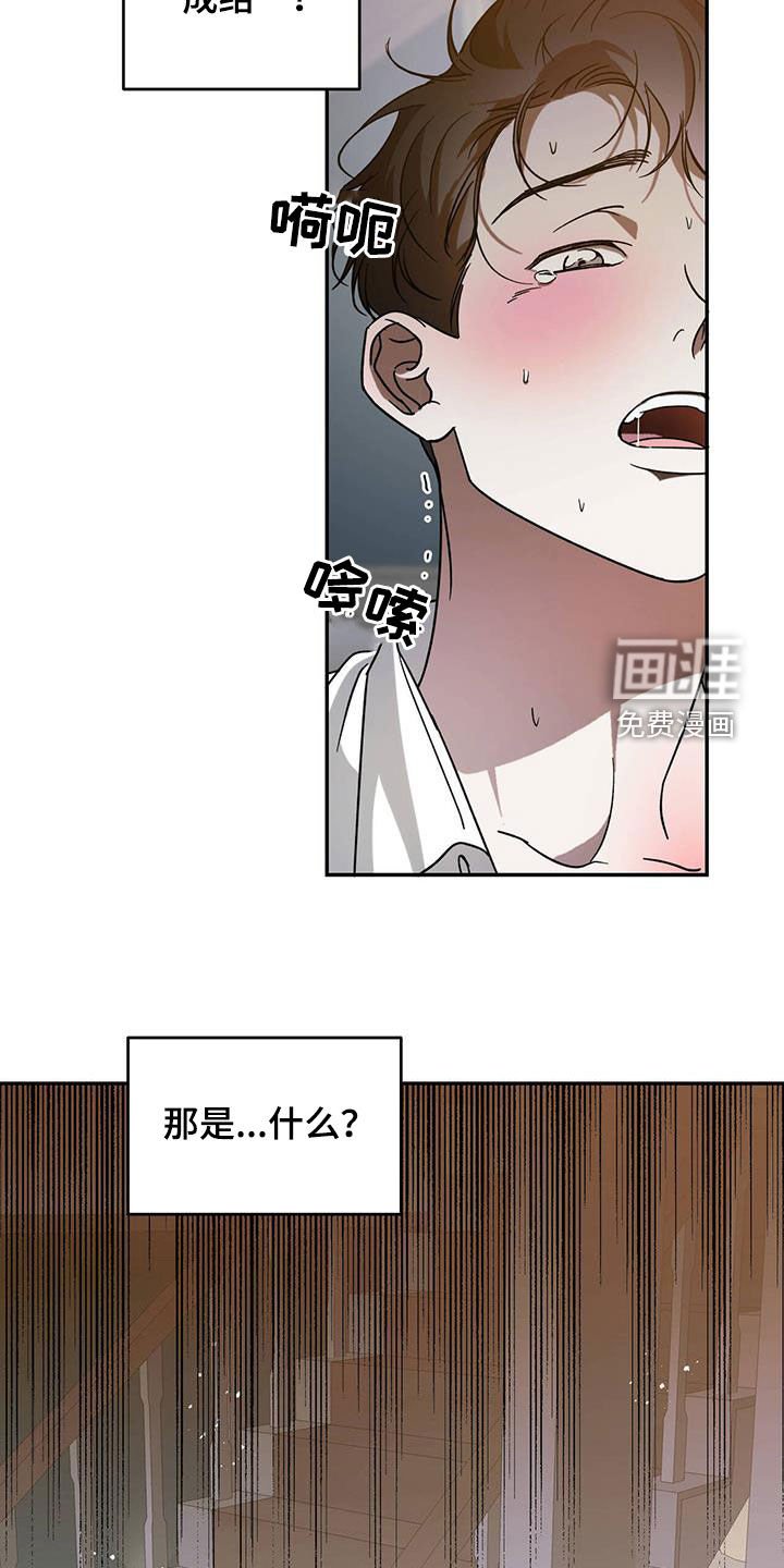 第84章：【第二季】成结