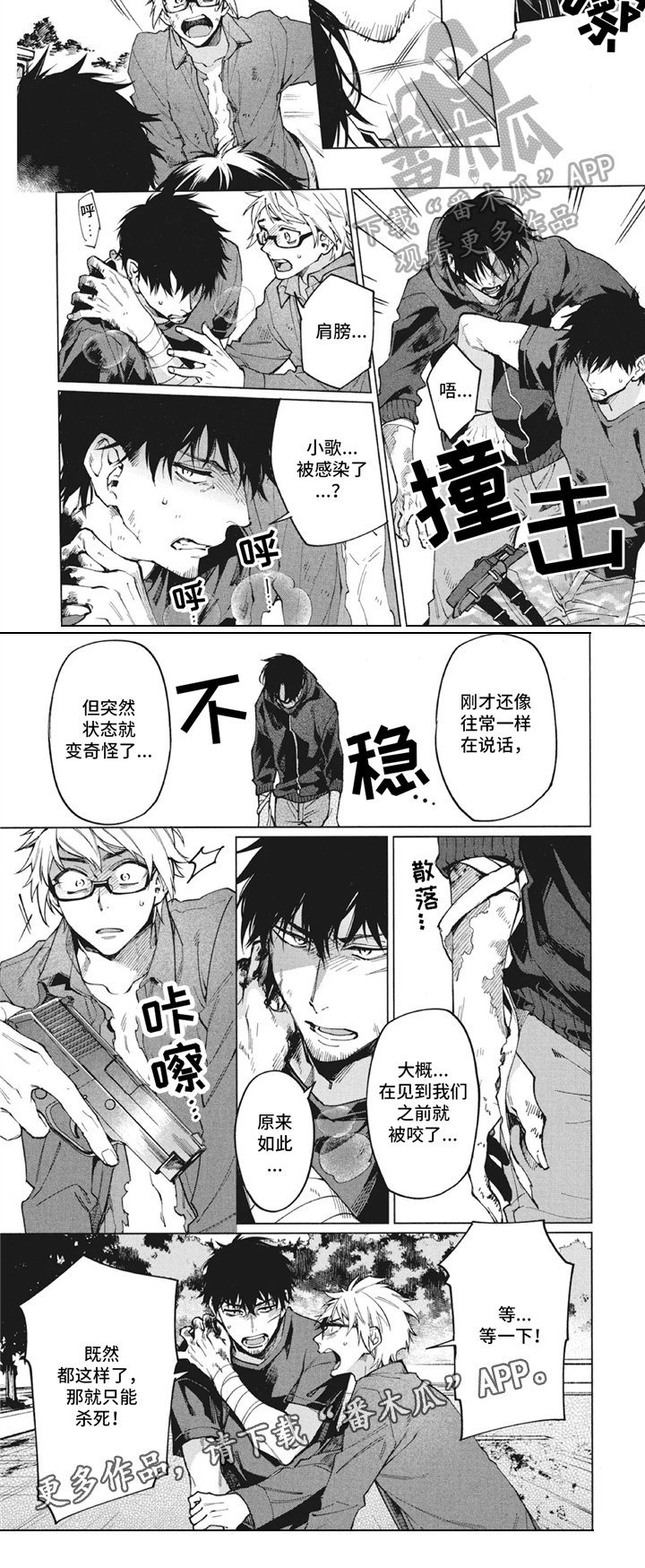 第13章：感染