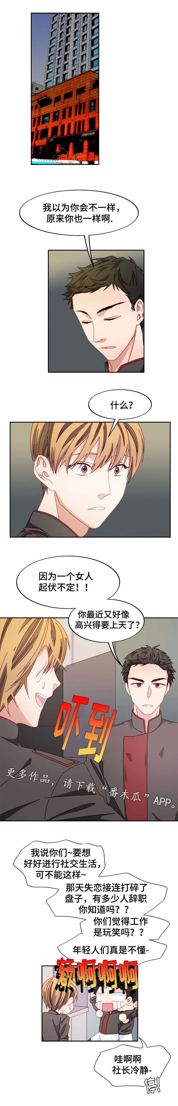 第41章：陷入爱情的表情