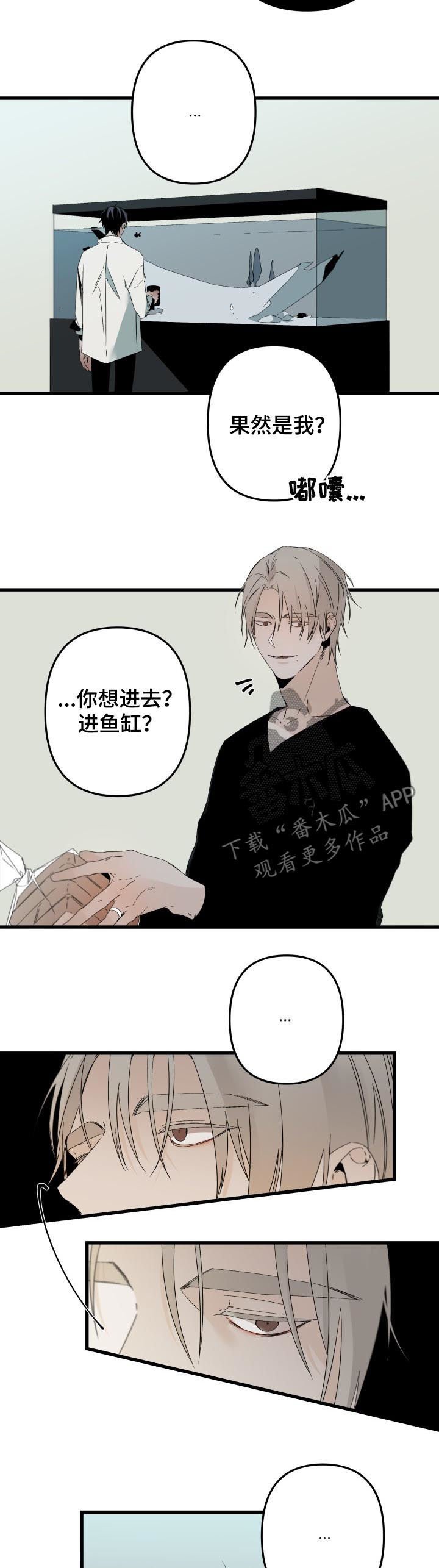 第114章：番外：你误会了