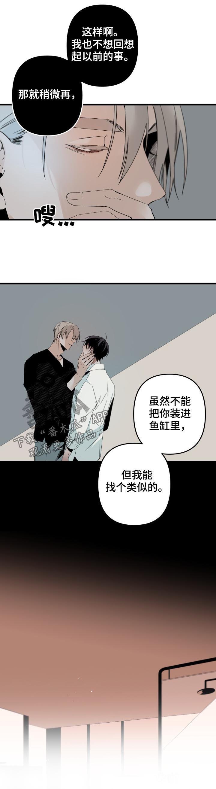 第114章：番外：你误会了